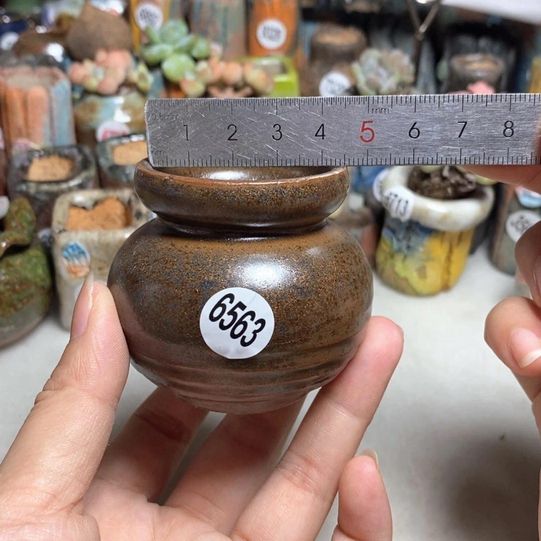 拍5送一个小礼物