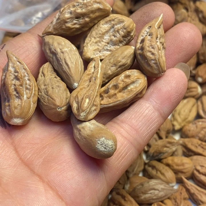 吊坠文玩核桃东北特产76