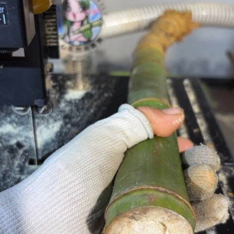 五***鼠实心竹竹竹竹竹竹竹竹竹竹