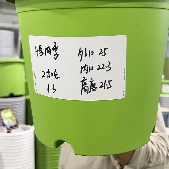 特价4号四季口25高21白色8个无托