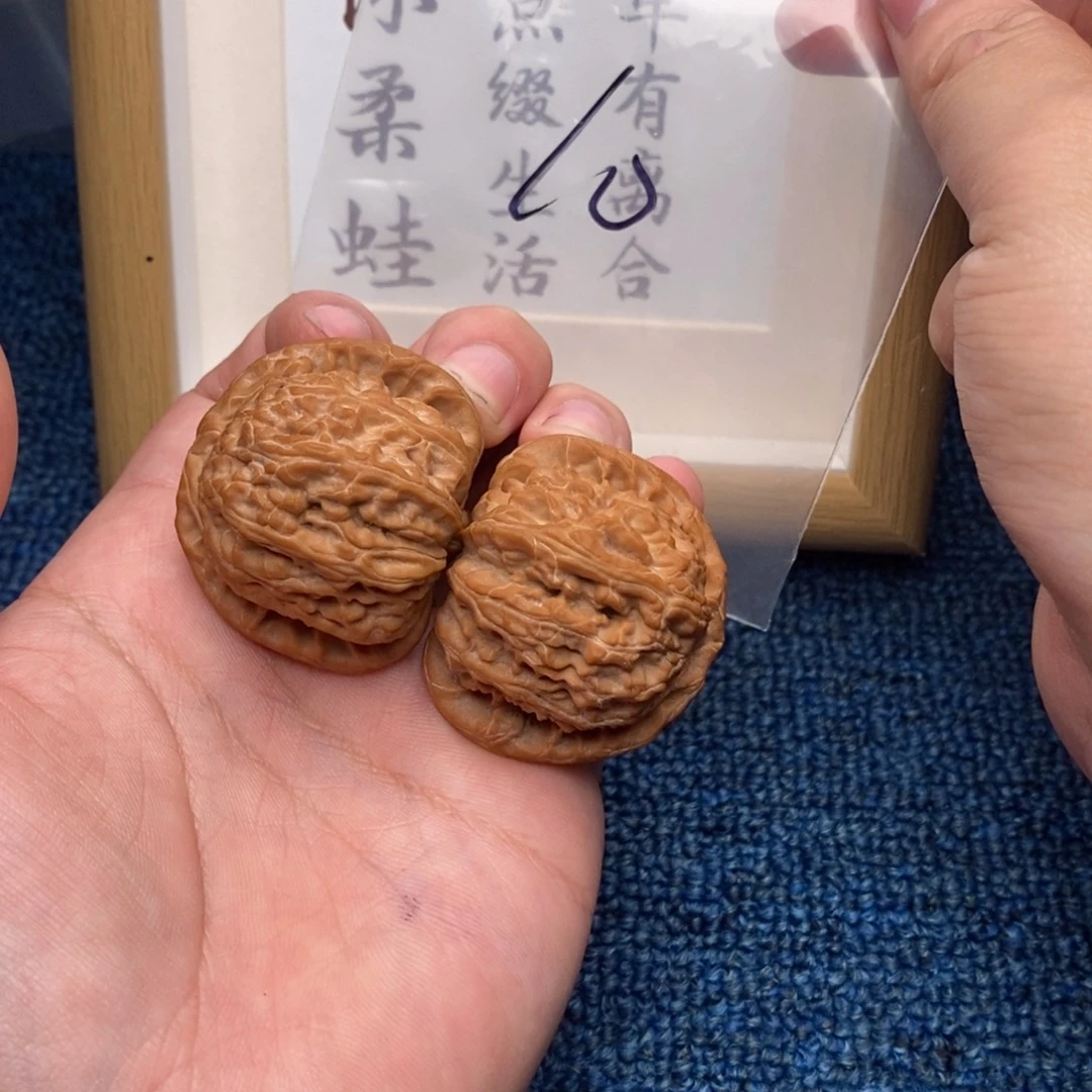 把件文玩核桃白狮子42尺全品，