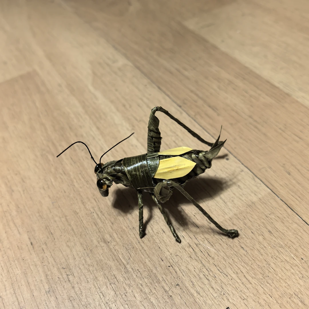 老赵棕编昆虫蚂蚱非遗传统手工艺