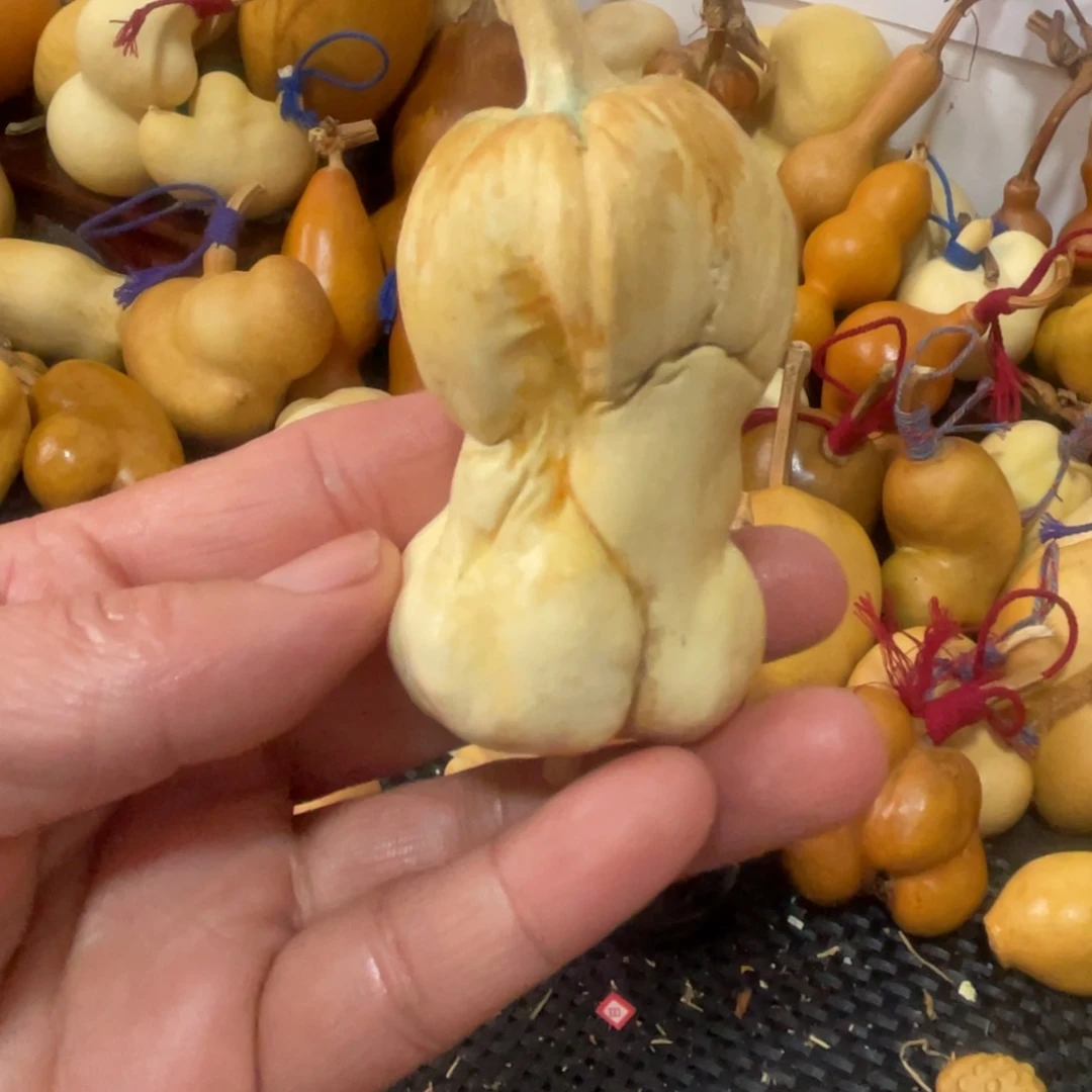 知***乐葫芦哈哈哈哈哈哈哈哈宝贝