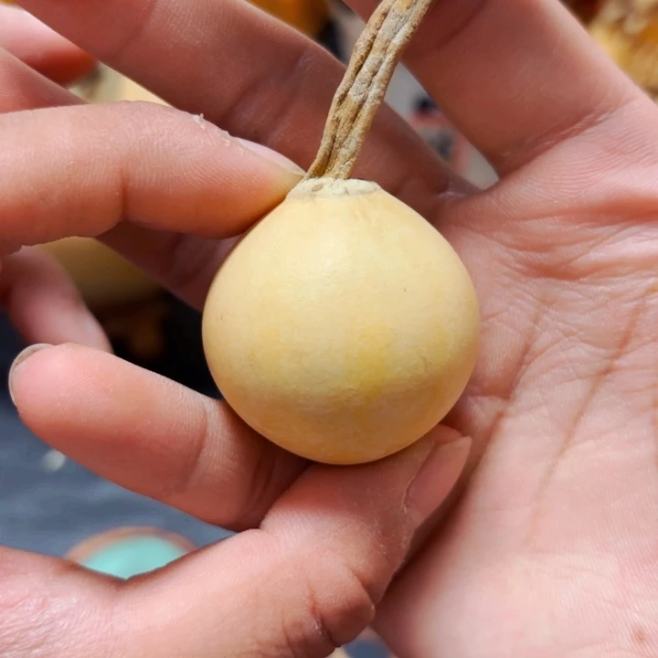 豆*喵888888888888888888