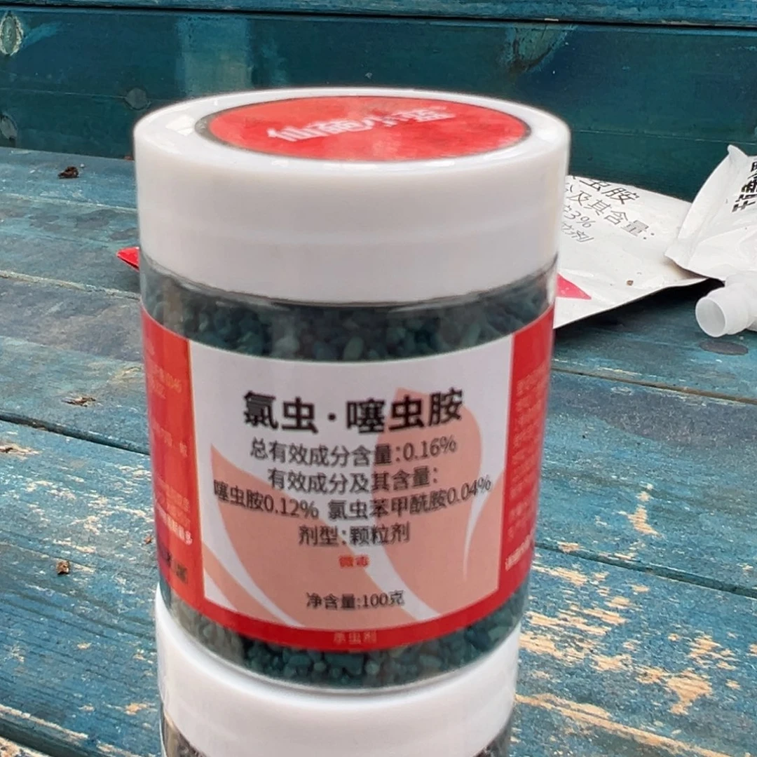 从前慢多肉精选编号0706.仙葩小蓝