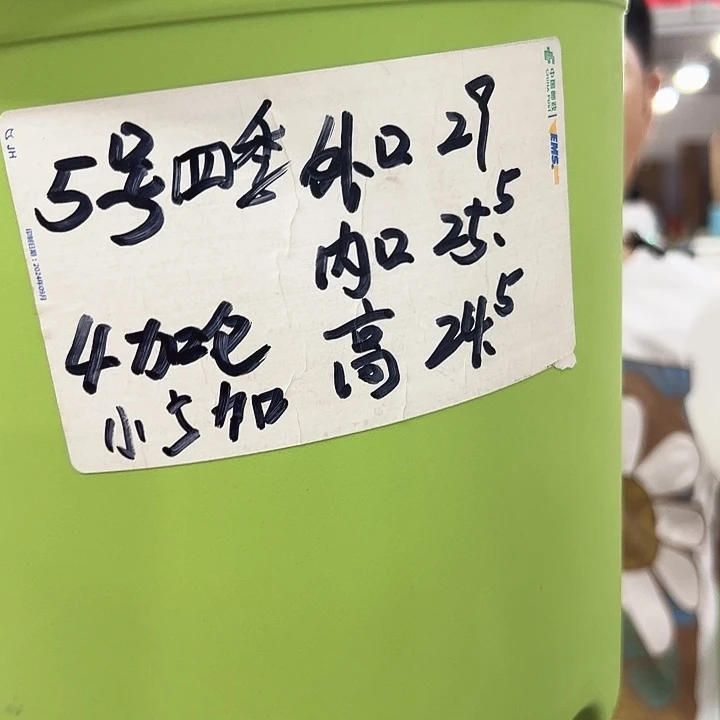 特价5号四季口29高24混色5个无托
