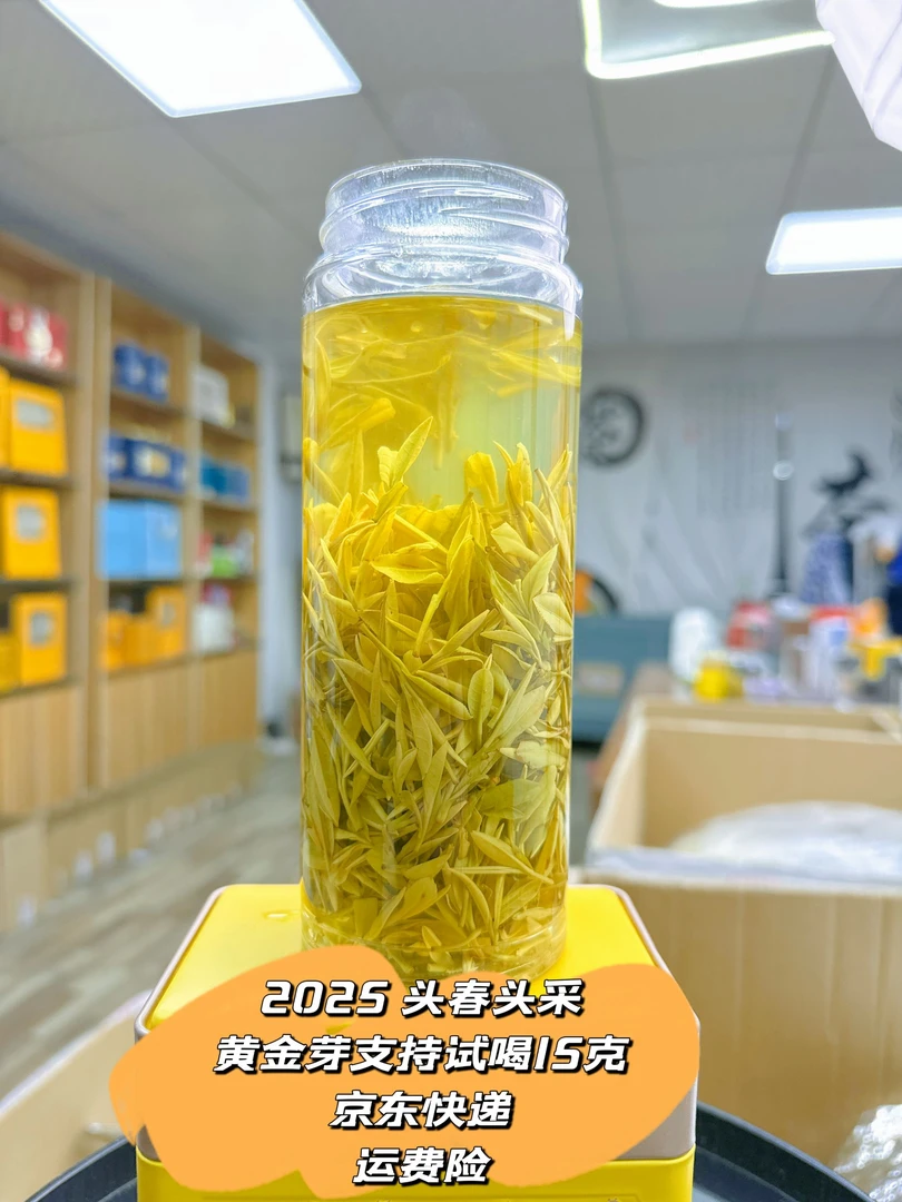 『新号补贴』2025年新茶明前头采高山黄金芽豆香花果香（H380）送礼