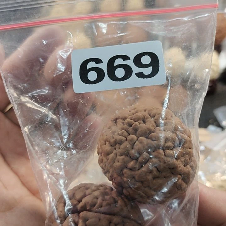 文玩核桃吊坠国*文玩核桃