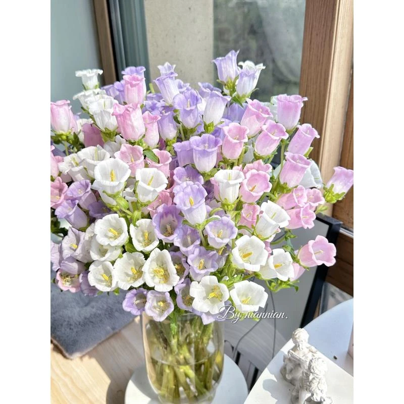 风铃花 文艺清新（顺丰包邮）