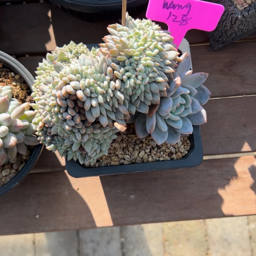 @***g补差1111111111111111