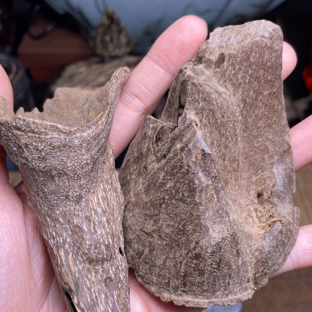 【闪购商品】香榧木海南尖峰岭淳化壳子12克