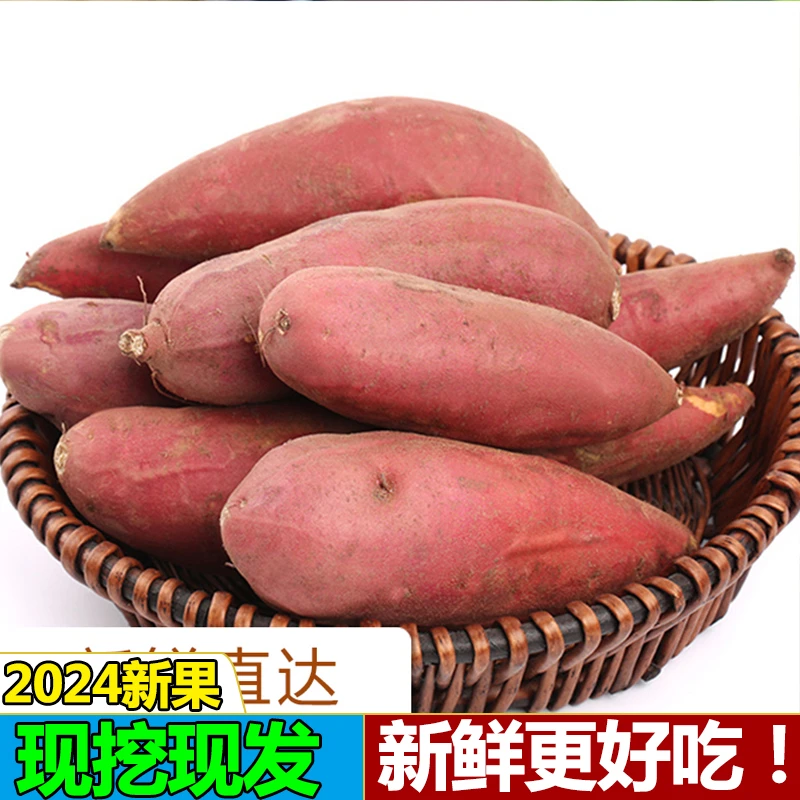 【沙地蜜署】广西沙地西瓜红蜜署种子粉糯新鲜番薯地瓜红心纯甜红薯