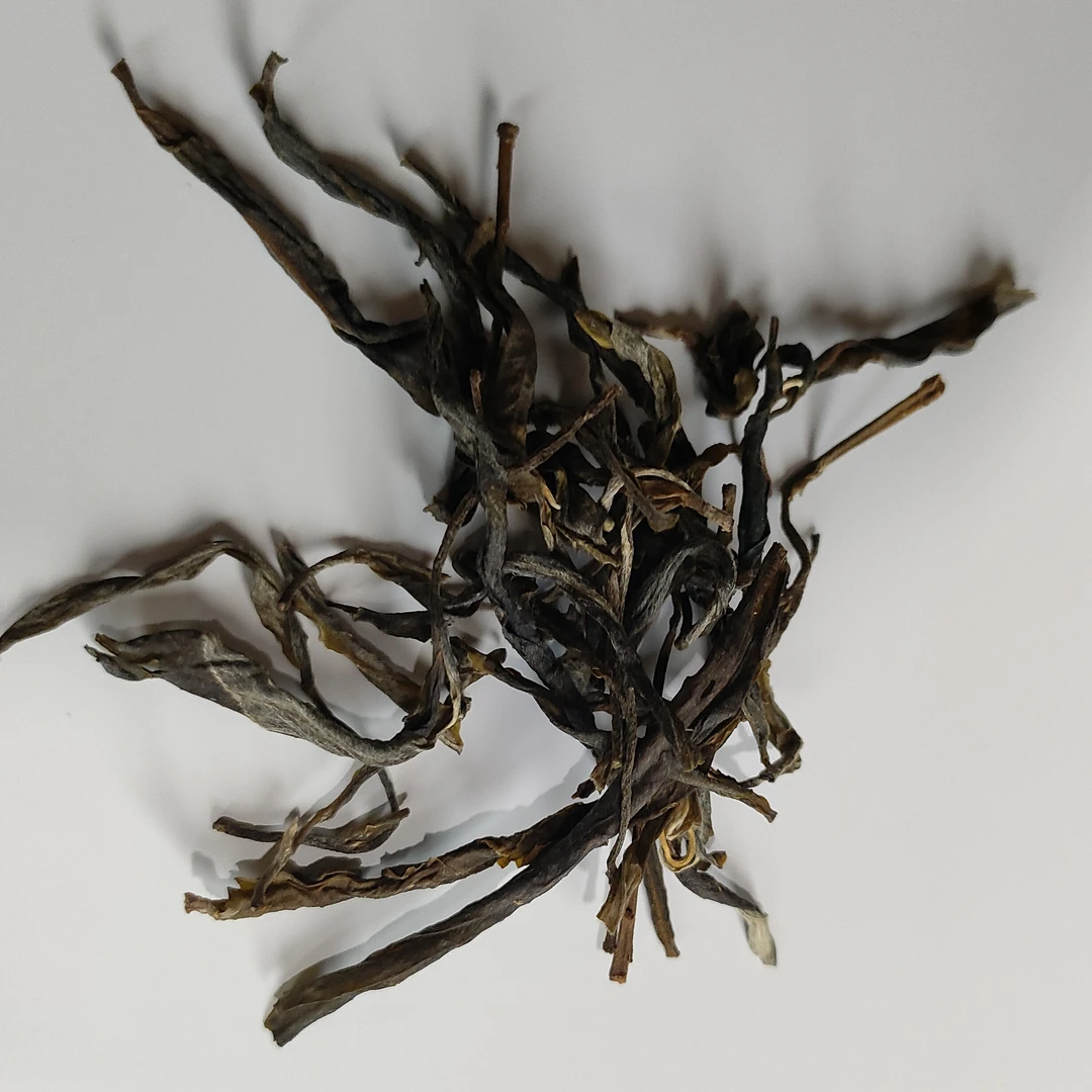 【19号】2025年 大箐头春 古树纯品生茶（通用）