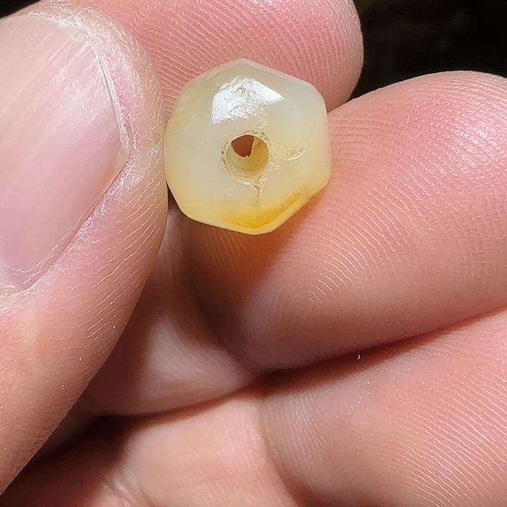 藏区老唐球保老漂亮