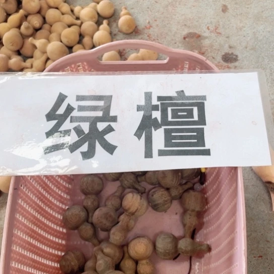 非洲紫檀（红花梨）