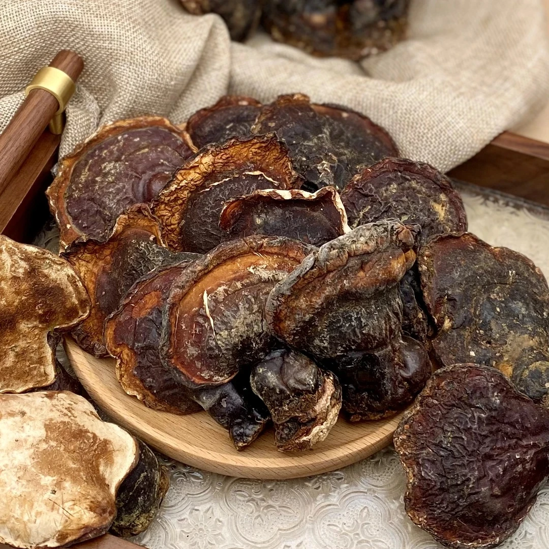 西藏松杉芝芝/药食同源/干货