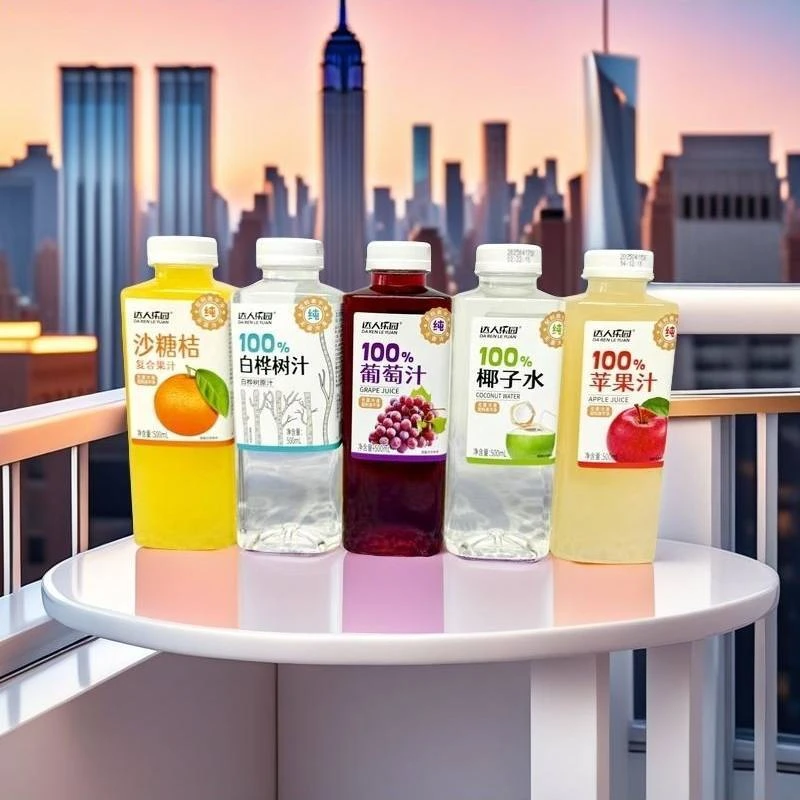 达人乐园100%果汁500ml*6苹果汁葡萄汁椰子水白桦树汁