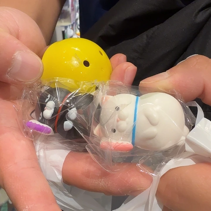 挽*沉躺着的小胖猫