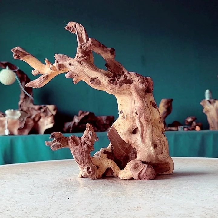 梁***木882 金丝红木羊蹄甲半成品