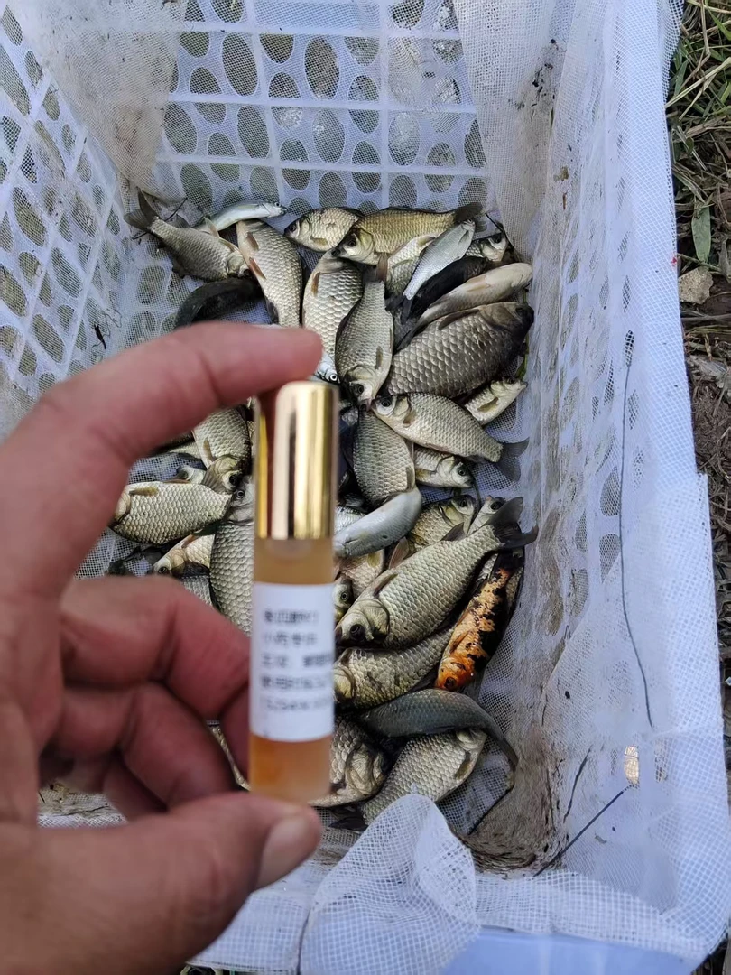 鲫鱼鲤鱼诱鱼添加剂10ML