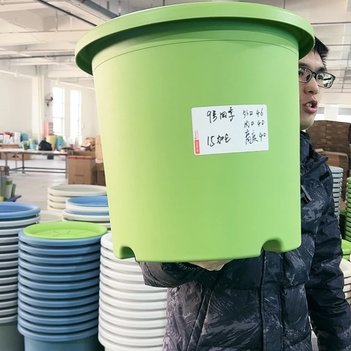 特价9号四季口46高40果绿无托2只