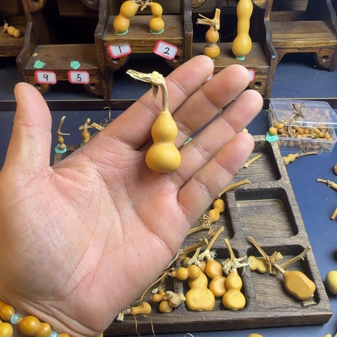 多***釋我是一只小小鸟地域鬼知道了一下还是