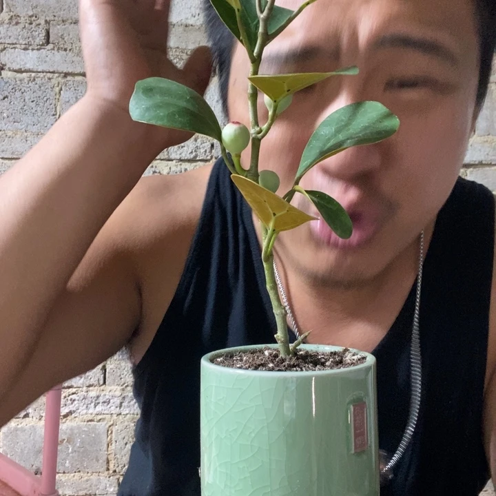 完全开放退款拉黑一物一拍192