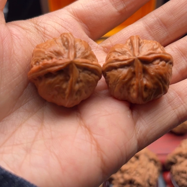 核桃27秋子四棱111111111