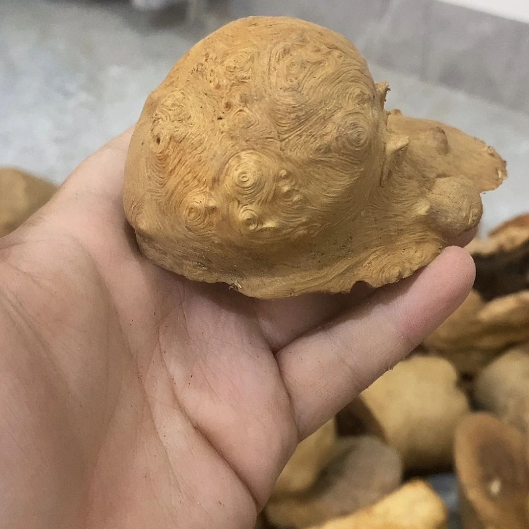 新***业荔枝木荔枝木原料