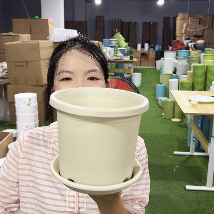 特价2号四季口17高15米色10只带托