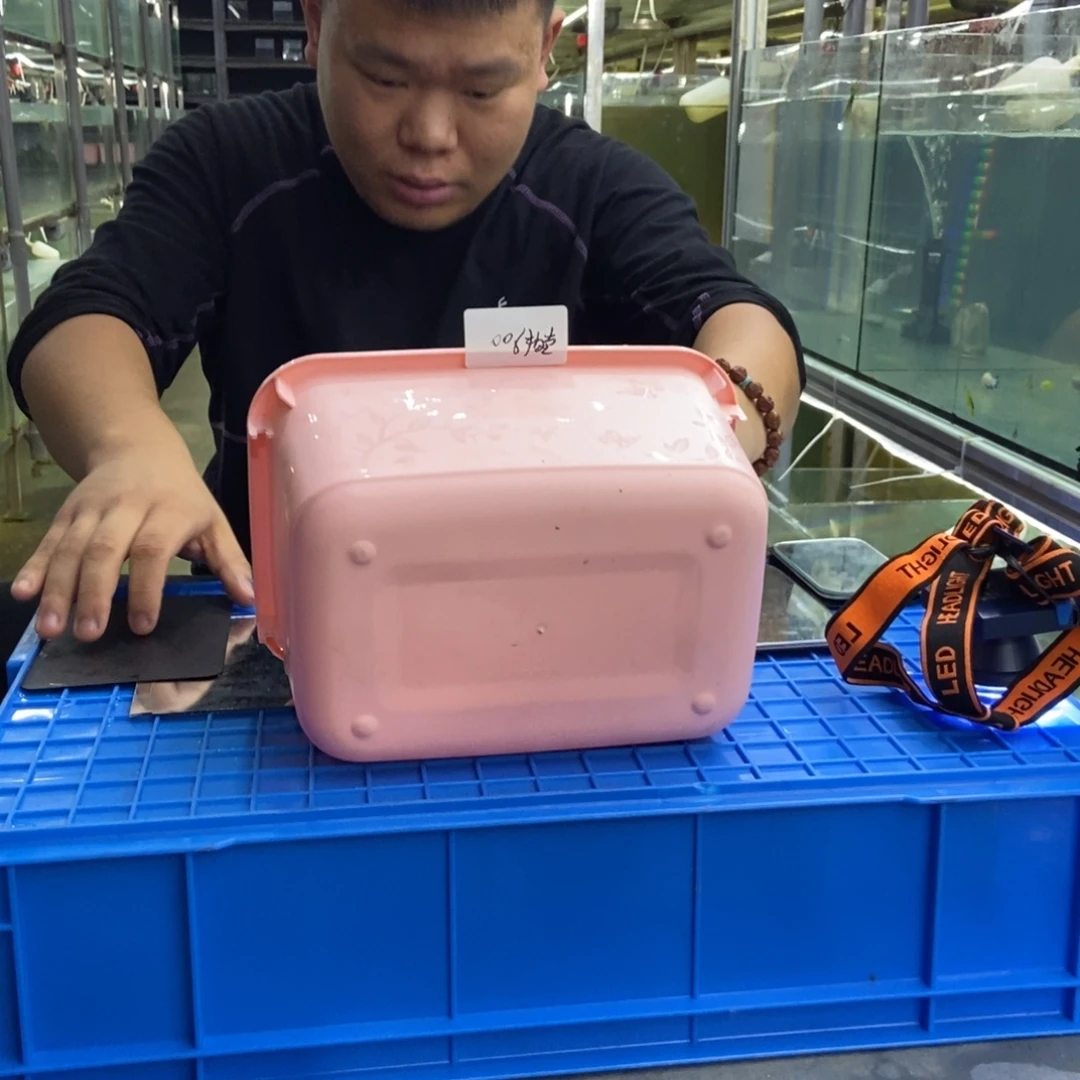 斗鱼所见即所得包活不包损006