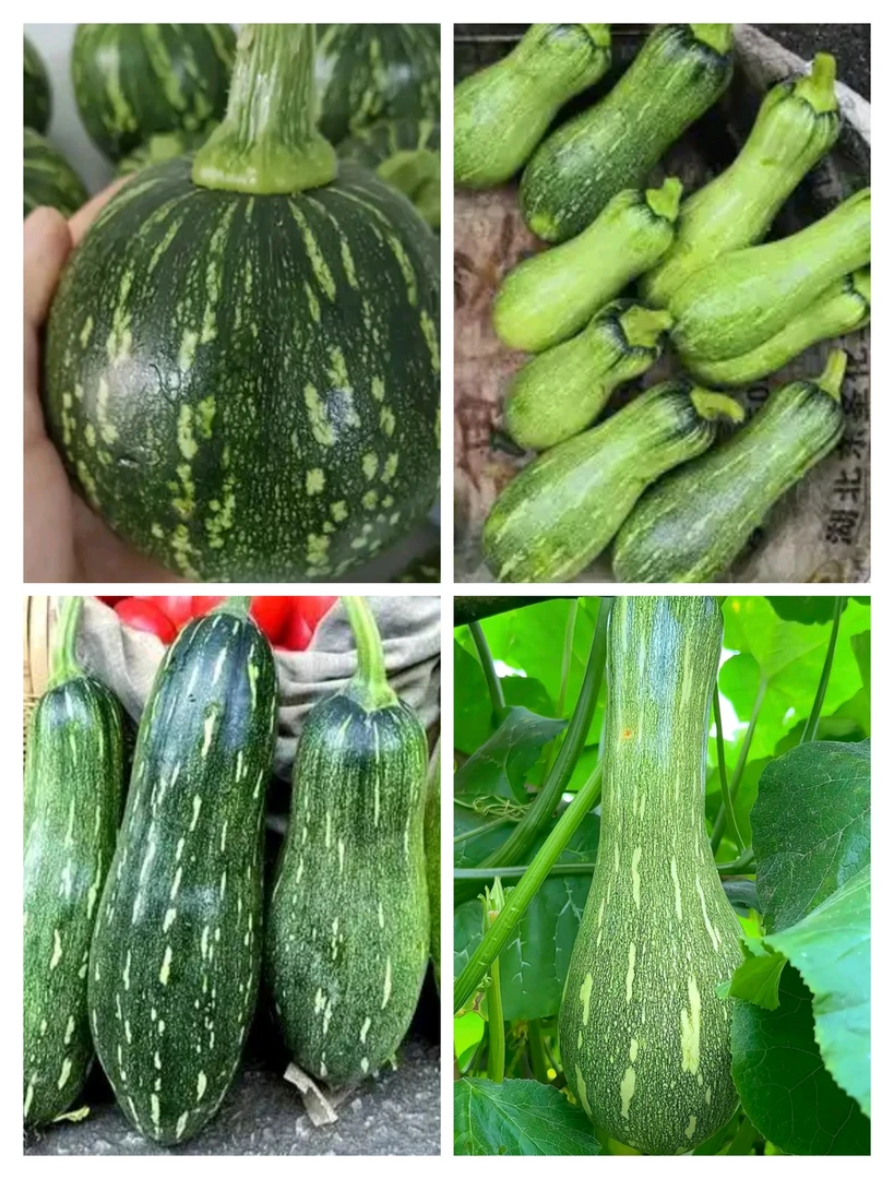 衡山本地清甜可口南瓜
