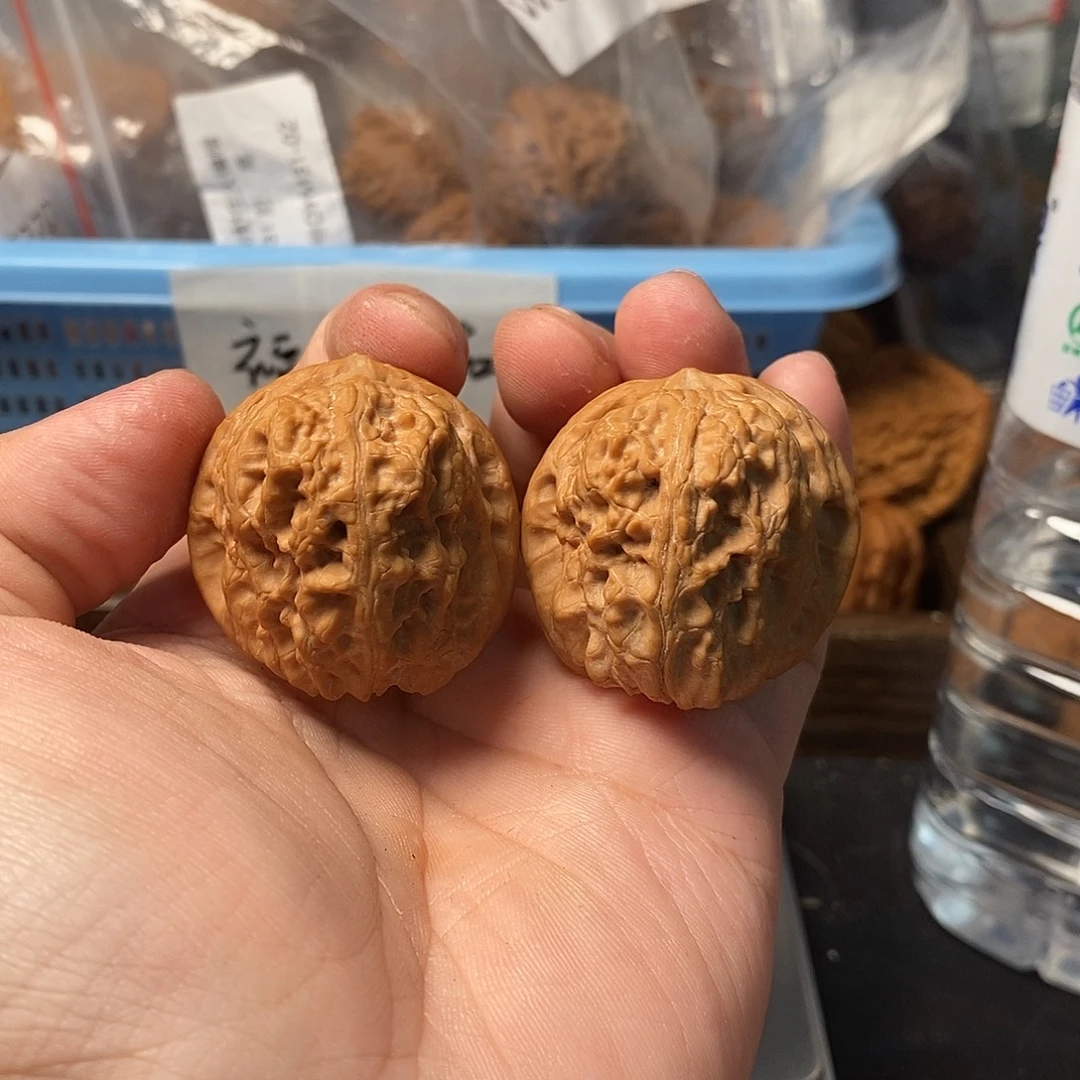 1文玩核桃血龙战马40-464