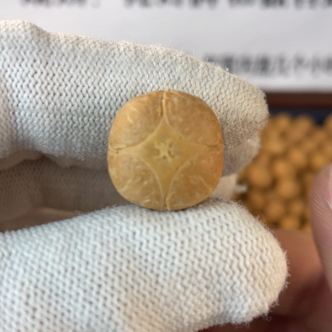 滚***子吊坠凤眼菩提凤眼菩提麒麟眼单颗 打孔不退不换