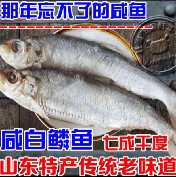 山东特产深海白鳞鱼咸鱼清蒸油炸海鲜快鱼鳓鱼
