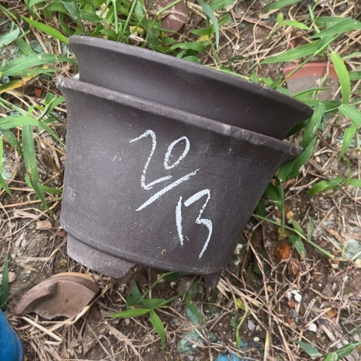 紫砂花盆紫砂的花