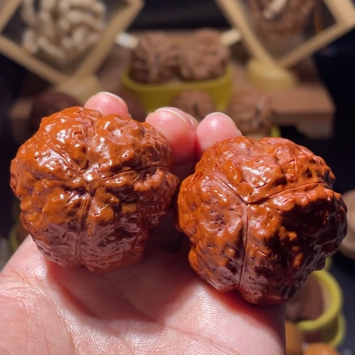 桃核吊坠疙瘩金刚菩提42尺