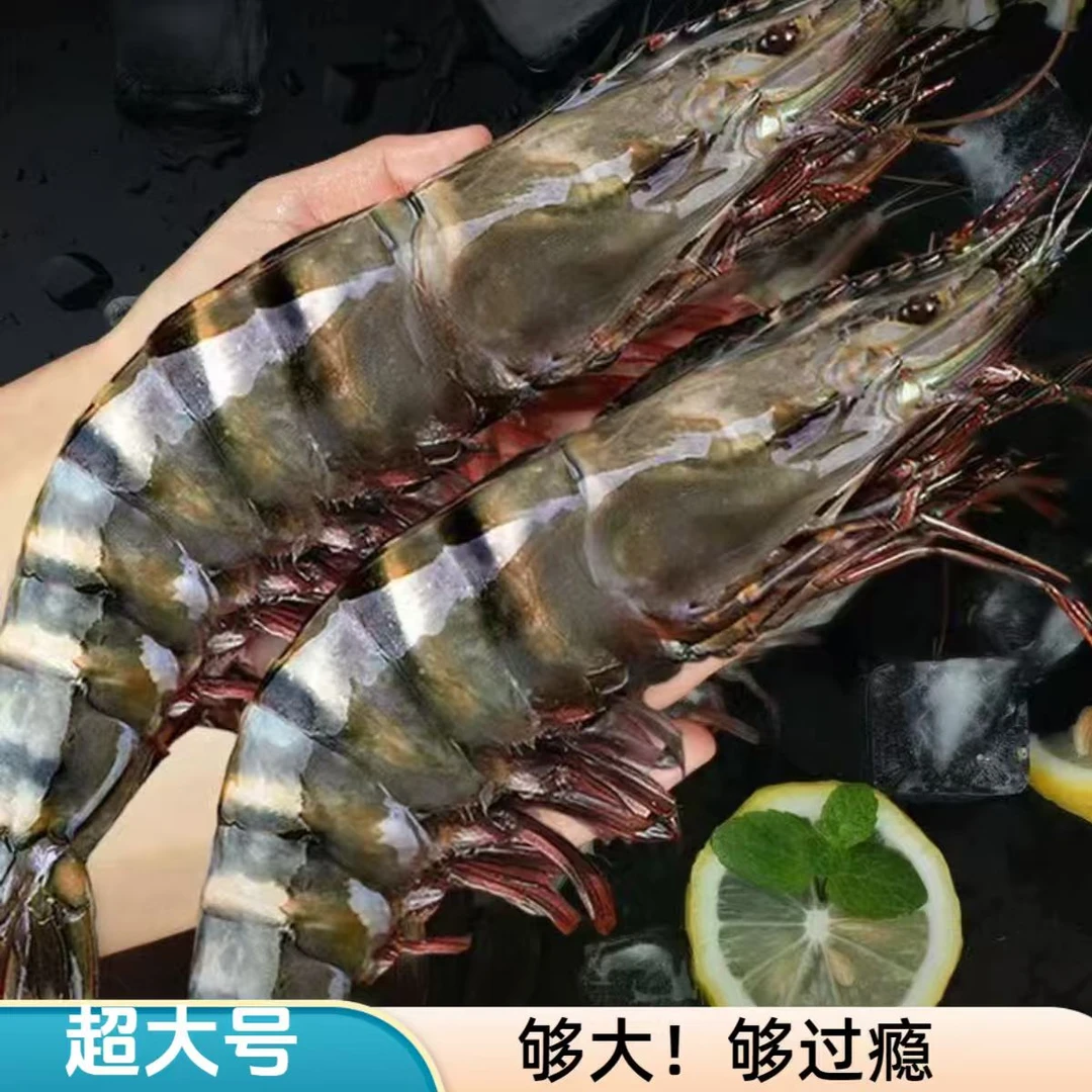 P精品超大号1620规格黑虎虾3斤/盒 活虾速冻8-10只左右/斤