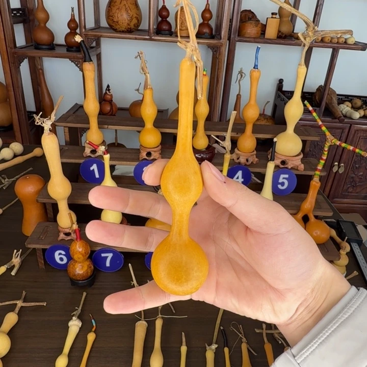 Z***6精品老皮三庭周正