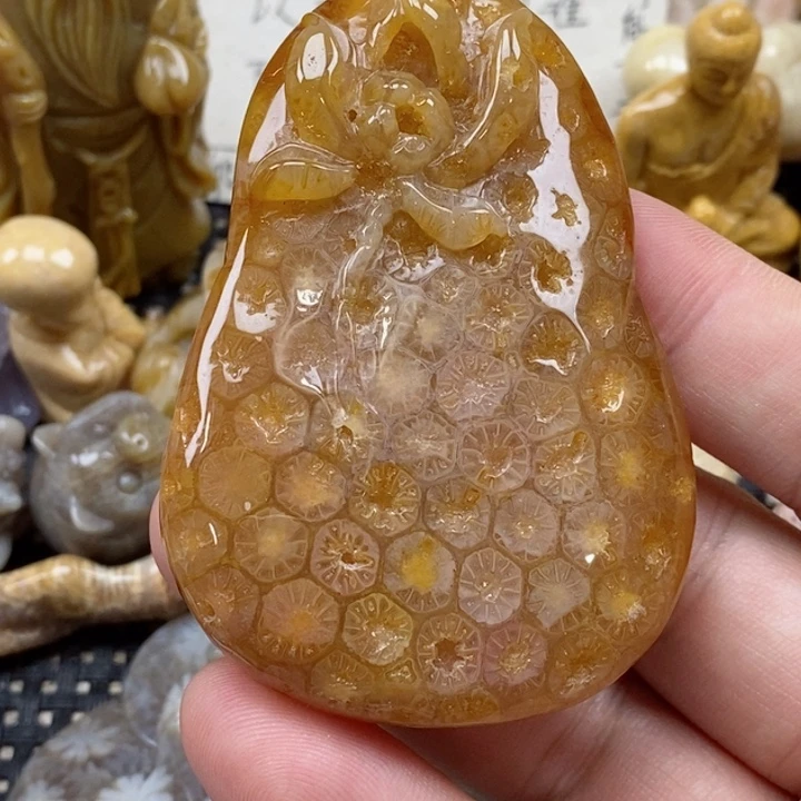 颈饰未镶嵌硅化珊瑚（珊瑚玉）