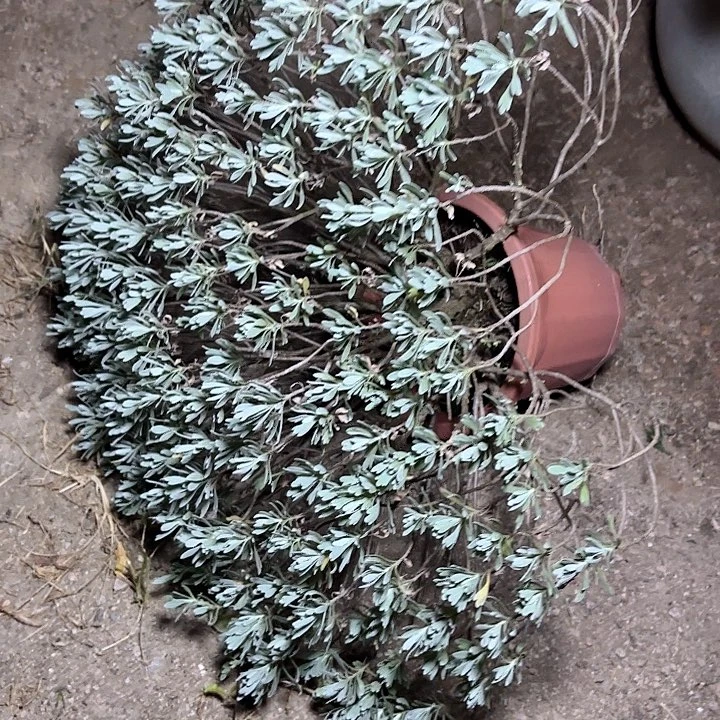 我***德哈哈哈哈哈哈哈哈哈哈