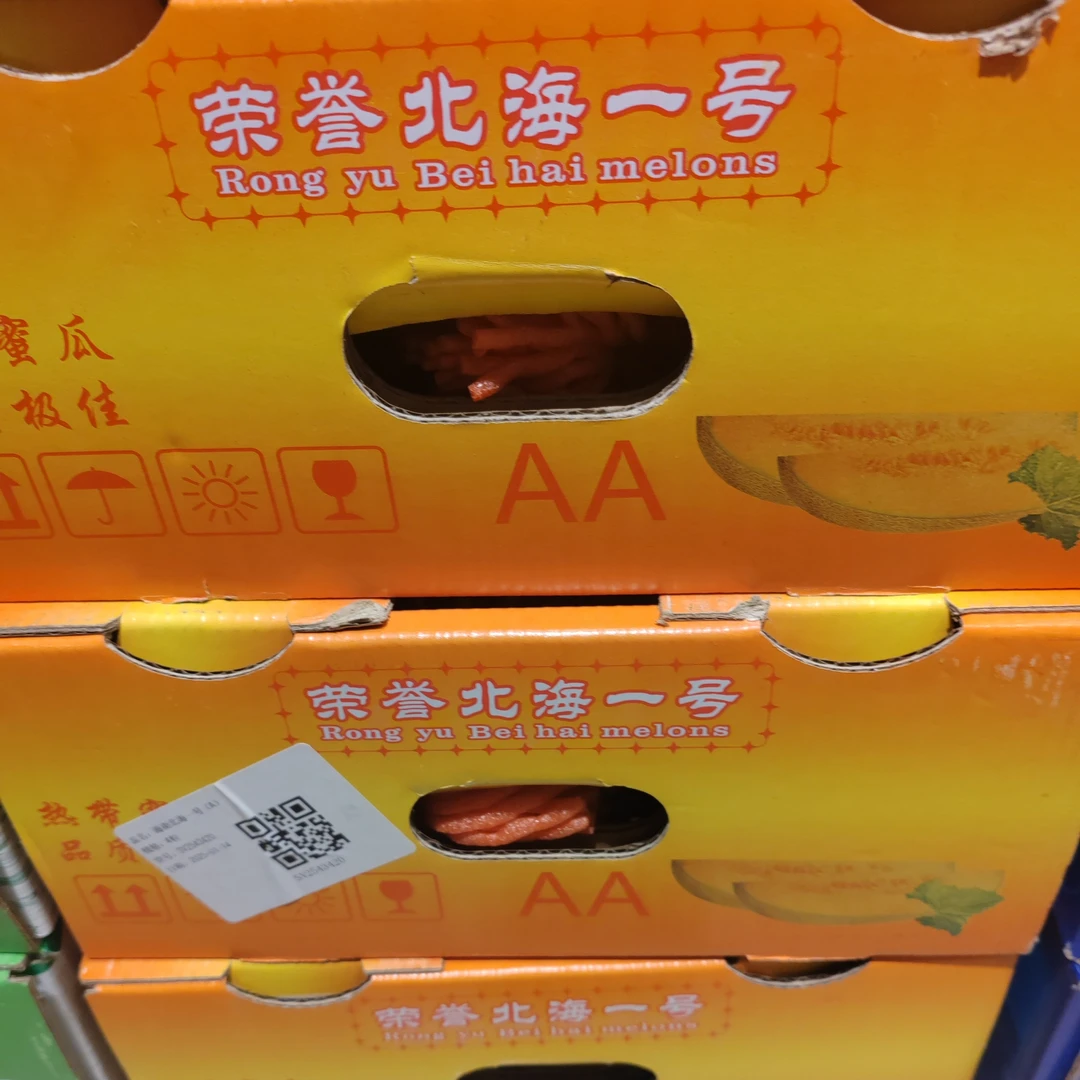 北海一号沙地蜜瓜