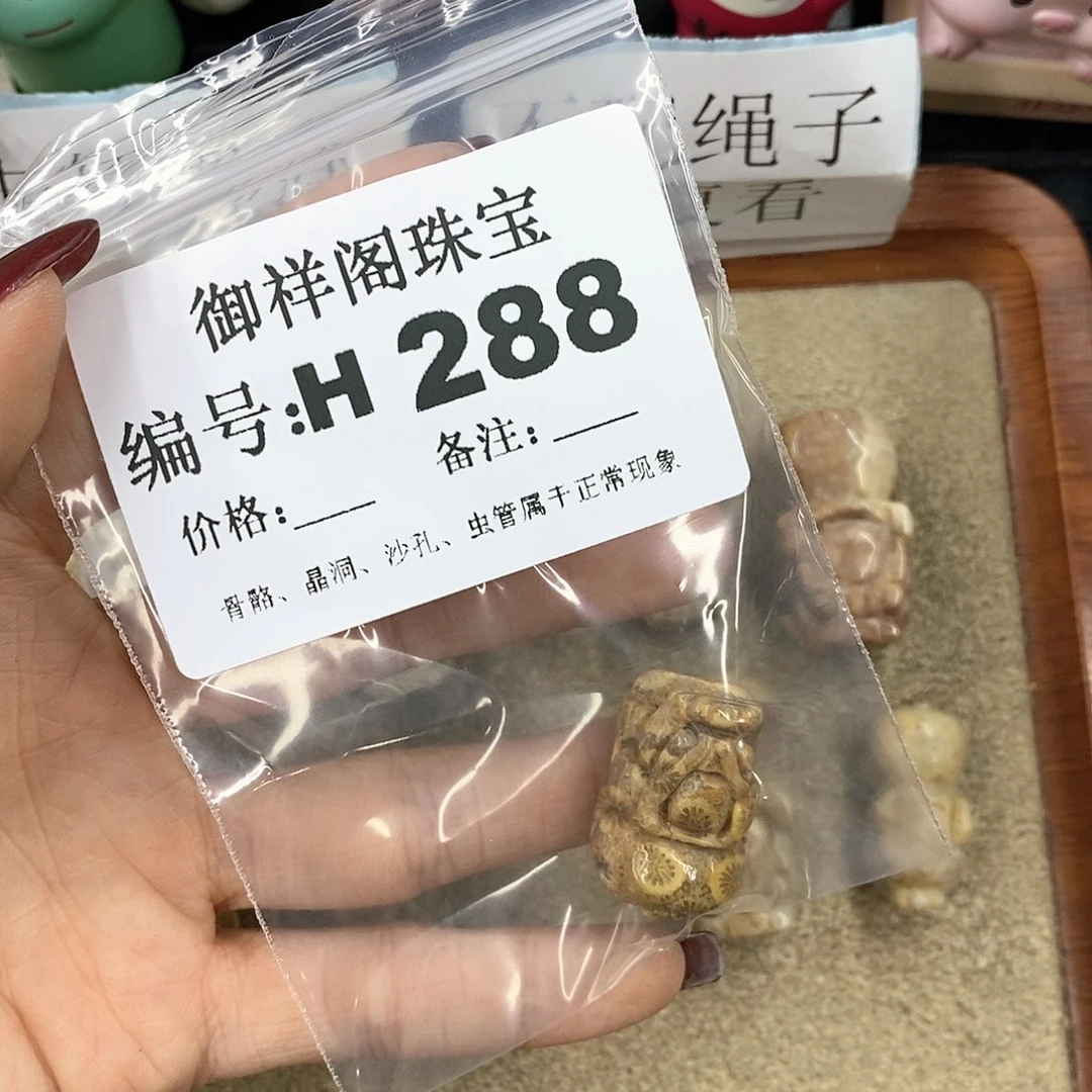 硅化珊瑚（珊瑚玉）H未镶嵌s***月