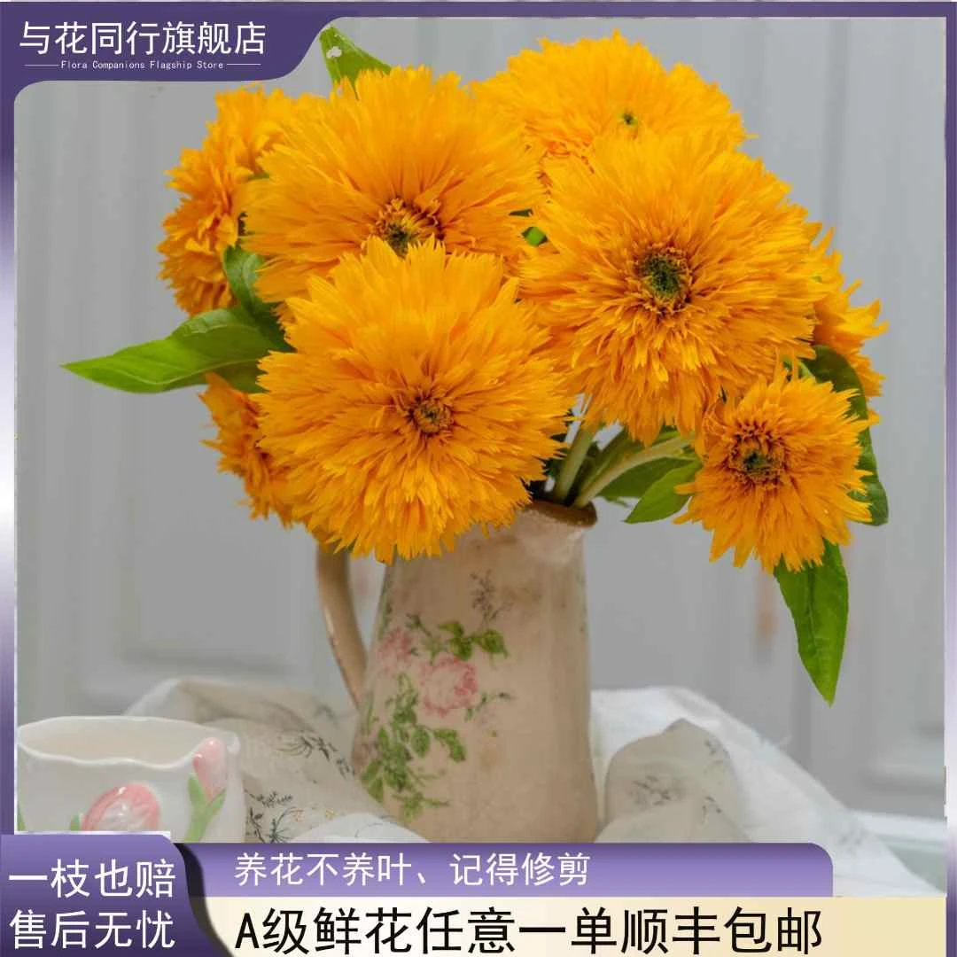 【UU】泰迪多头向日葵昆明鲜花顺丰包邮打造梵高画境氛围感