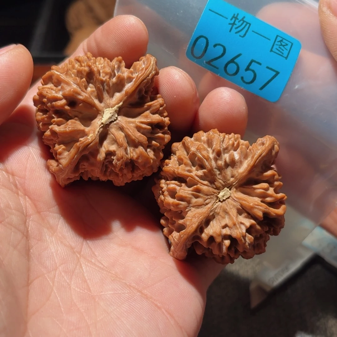文玩核桃把件满天星