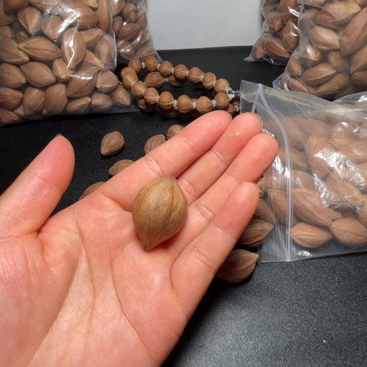 胖***球猪牙手串/手链我是