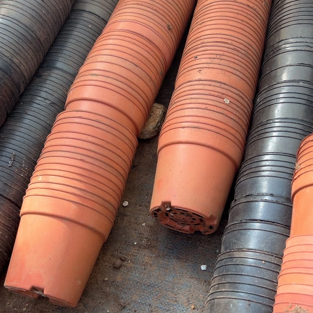 红色矮胖盆12口径11高 20个