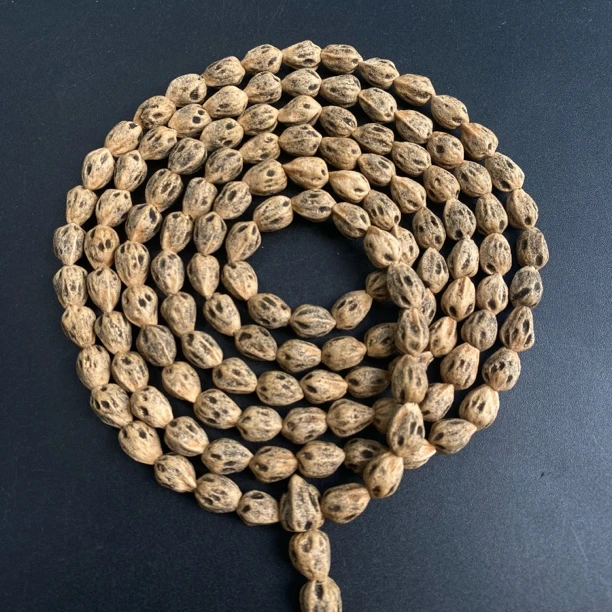 热振一哥《星际》定制级百香籽