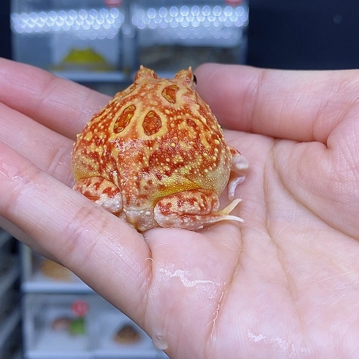 特价秒杀现货特价