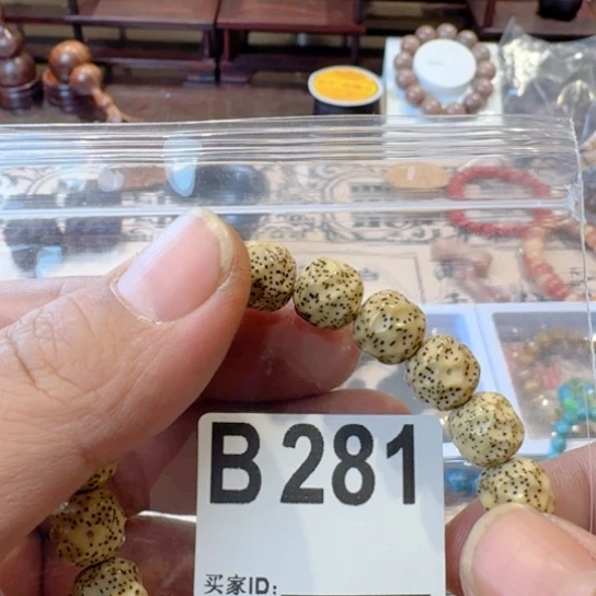 香榧木爸爸和姐姐奶奶b281